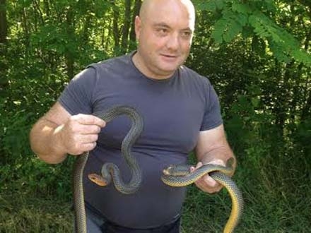 Stanković sa uhvaćenim zmijaama FOTO S. Tasić